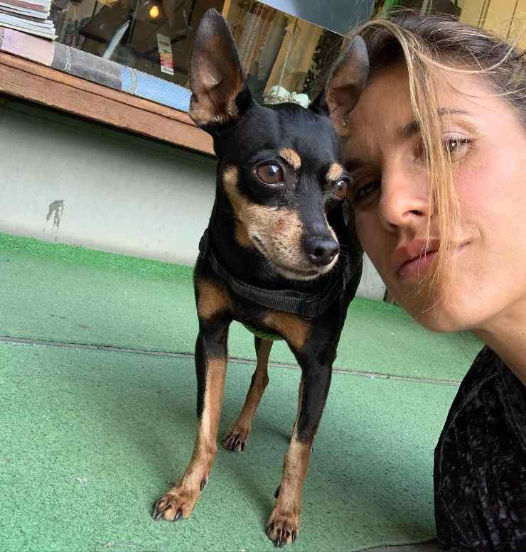 Elisabetta Canalis distrutta: messaggio ai fan