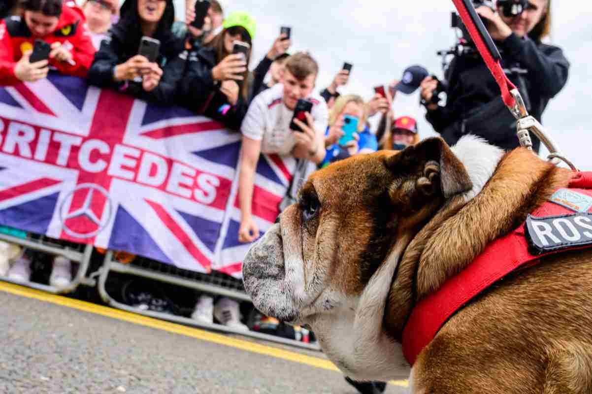 Roscoe e Hamilton in un videogioco