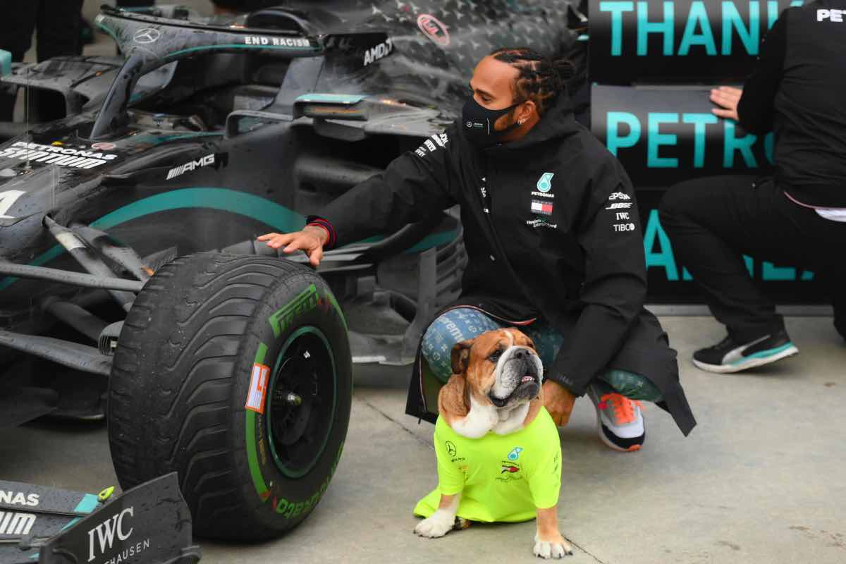 Famoso sui social, Hamilton porta anche il bulldog in Ferrari