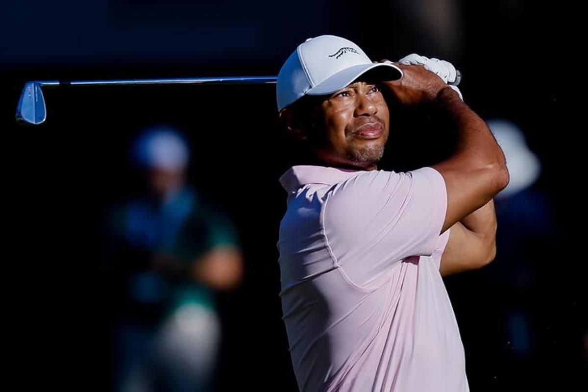 La rivoluzione del verde indoor con la nuova iniziativa di woods
