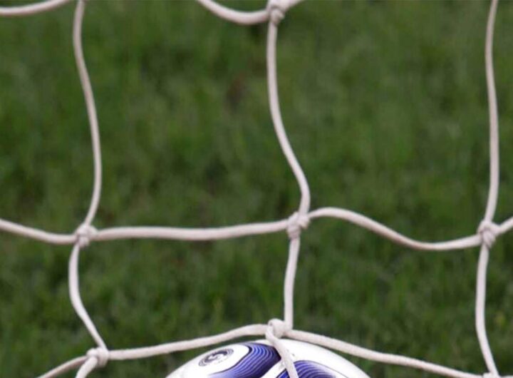 Salernitana sfida il rinvio dei playout: il ricorso che potrebbe cambiare tutto