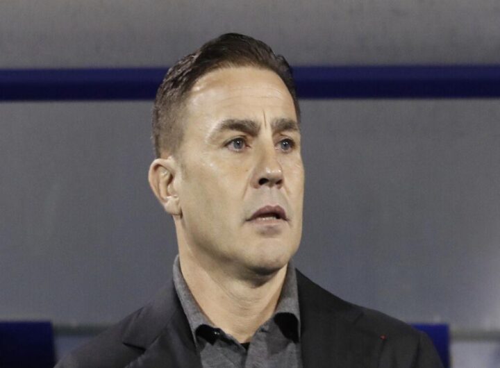 Cannavaro: la necessità di stadi moderni in Italia