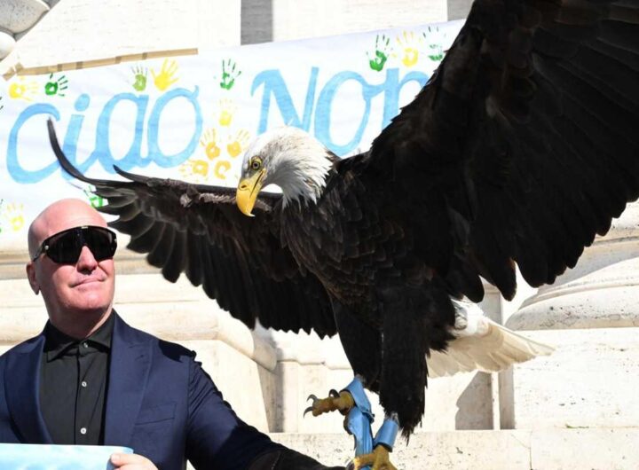 Lazio, l'ex falconiere Bernabè costretto a lasciare Formello