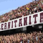 Sospensione shock di Salernitana-Samp: petardi e seggiolini in campo
