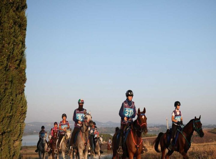 Zigulì Fei: il campionato europeo di endurance 2025 si svolgerà in Umbria