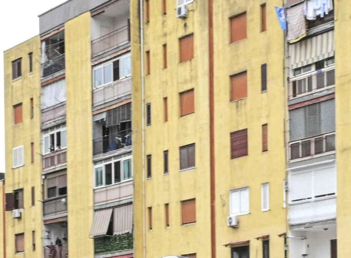 Abodi: il ritorno dell'orgoglio per la maglia azzurra