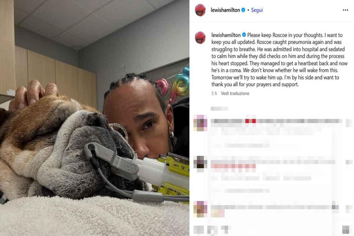 F1: Hamilton si congeda dal suo amato cane, una scelta straziante