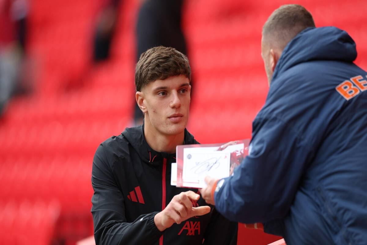 Leoni in pausa: un anno di assenza dopo la stagione intensa