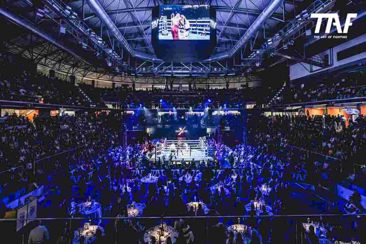 Taf 11: la notte che ha ridato vita al pugilato italiano a Milano